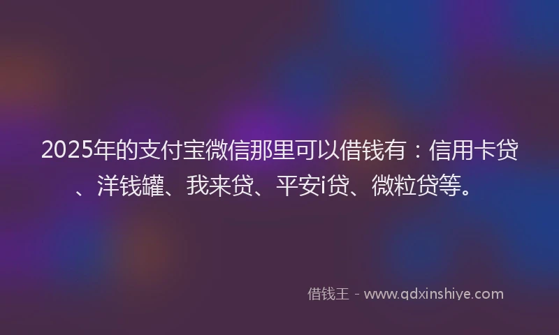 2025年的支付宝微信那里可以借钱有：信用卡贷、洋钱罐、我来贷、平安i贷、微粒贷等。
