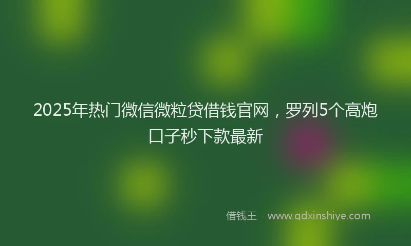 2025年热门微信微粒贷借钱官网，罗列5个高炮口子秒下款最新