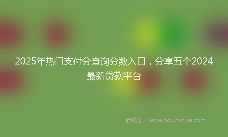2025年热门支付分查询分数入口，分享五个2024最新贷款平台