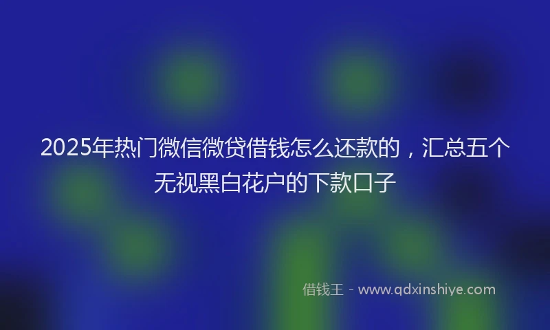 2025年热门微信微贷借钱怎么还款的，汇总五个无视黑白花户的下款口子