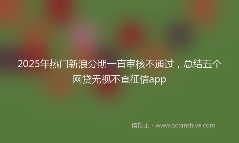 2025年热门新浪分期一直审核不通过，总结五个网贷无视不查征信app