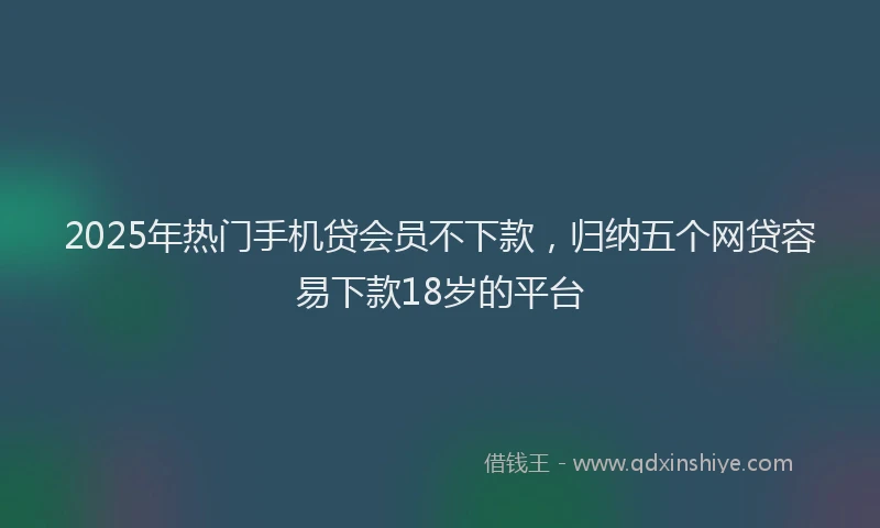 2025年热门手机贷会员不下款，归纳五个网贷容易下款18岁的平台