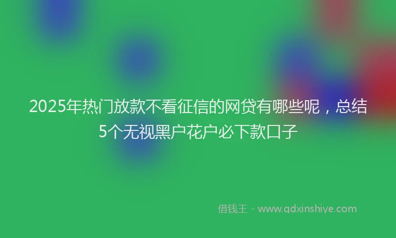 2025年热门放款不看征信的网贷有哪些呢，总结5个无视黑户花户必下款口子