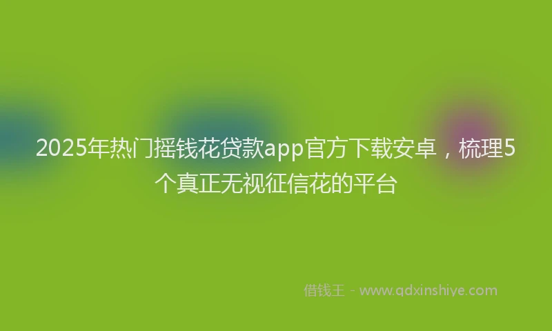2025年热门摇钱花贷款app官方下载安卓，梳理5个真正无视征信花的平台