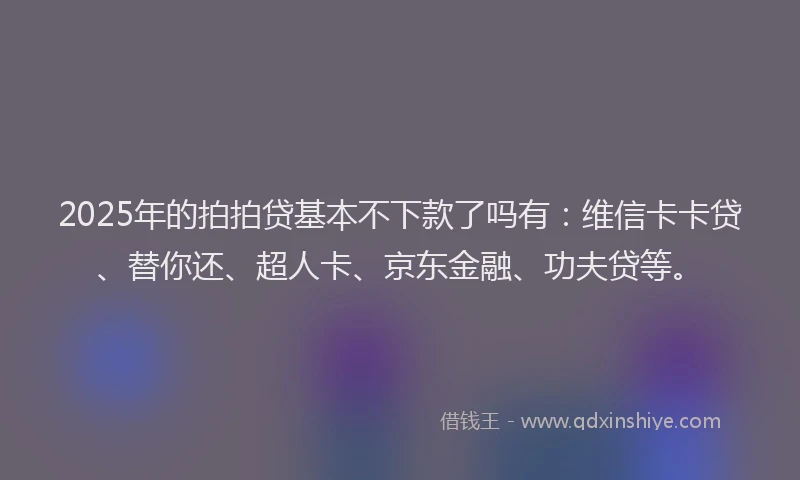 2025年的拍拍贷基本不下款了吗有：维信卡卡贷、替你还、超人卡、京东金融、功夫贷等。