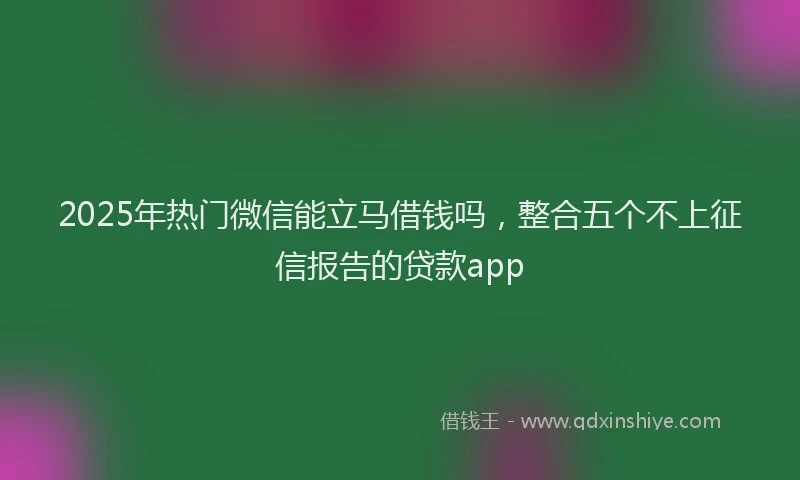 2025年热门微信能立马借钱吗，整合五个不上征信报告的贷款app
