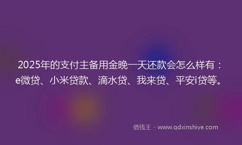 2025年的支付主备用金晚一天还款会怎么样有：e微贷、小米贷款、滴水贷、我来贷、平安i贷等。