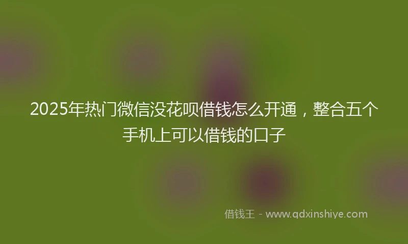 2025年热门微信没花呗借钱怎么开通，整合五个手机上可以借钱的口子