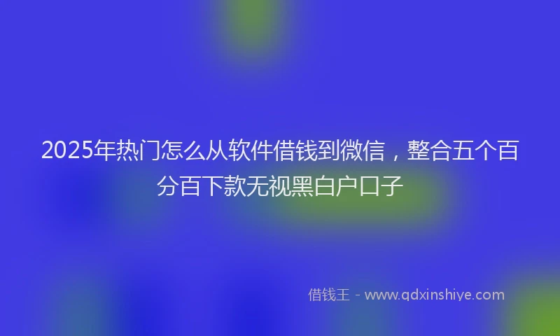 2025年热门怎么从软件借钱到微信，整合五个百分百下款无视黑白户口子