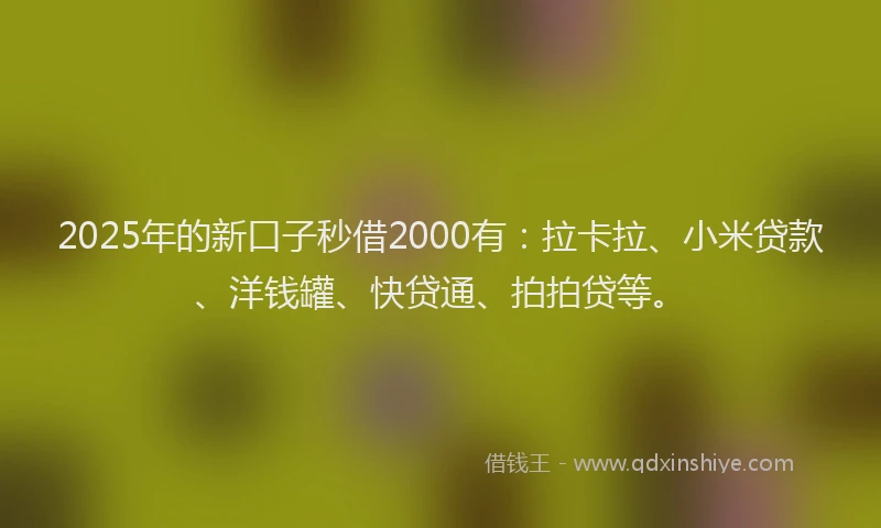 2025年的新口子秒借2000有：拉卡拉、小米贷款、洋钱罐、快贷通、拍拍贷等。