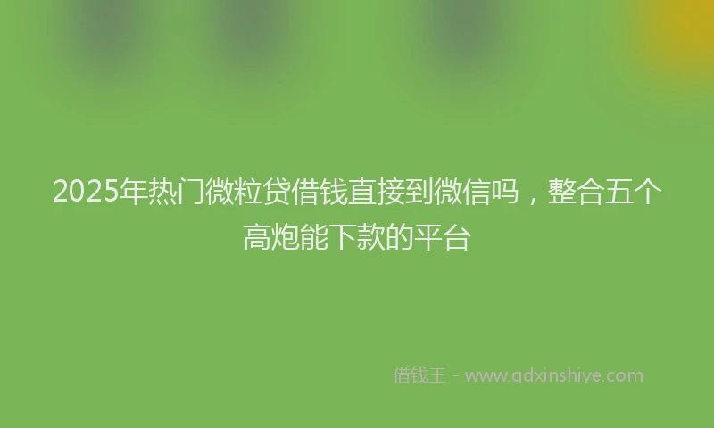 2025年热门微粒贷借钱直接到微信吗，整合五个高炮能下款的平台