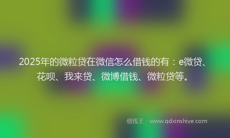 2025年的微粒贷在微信怎么借钱的有：e微贷、花呗、我来贷、微博借钱、微粒贷等。
