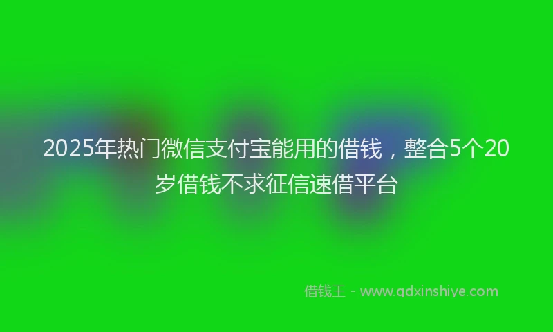 2025年热门微信支付宝能用的借钱，整合5个20岁借钱不求征信速借平台