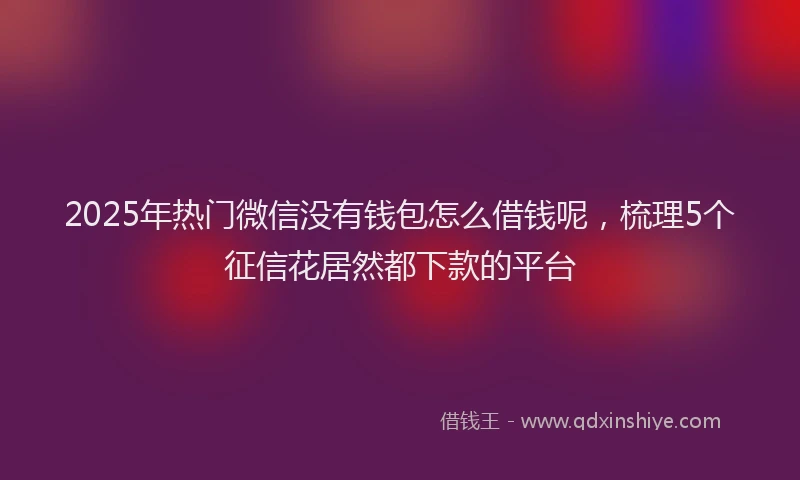 2025年热门微信没有钱包怎么借钱呢，梳理5个征信花居然都下款的平台