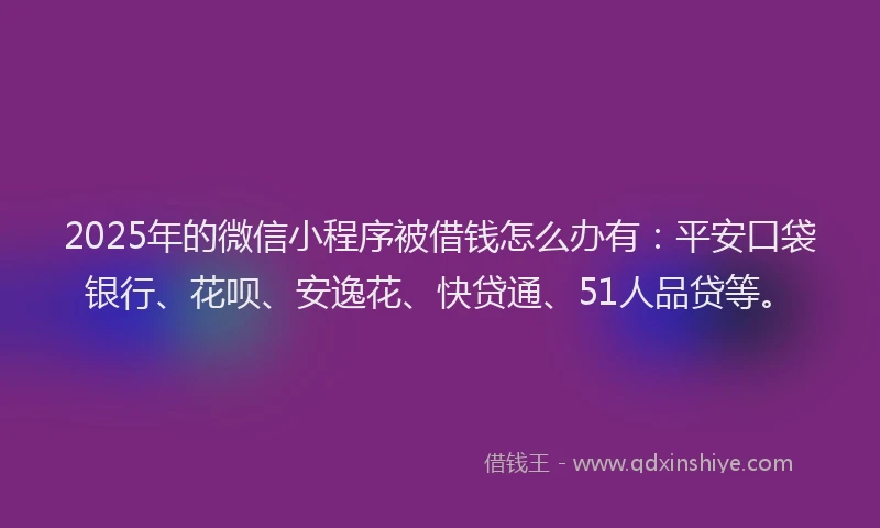 2025年的微信小程序被借钱怎么办有：平安口袋银行、花呗、安逸花、快贷通、51人品贷等。