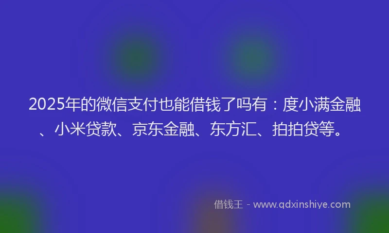 2025年的微信支付也能借钱了吗有：度小满金融、小米贷款、京东金融、东方汇、拍拍贷等。
