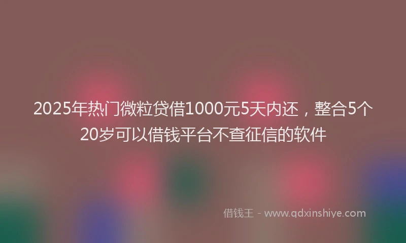 2025年热门微粒贷借1000元5天内还，整合5个20岁可以借钱平台不查征信的软件