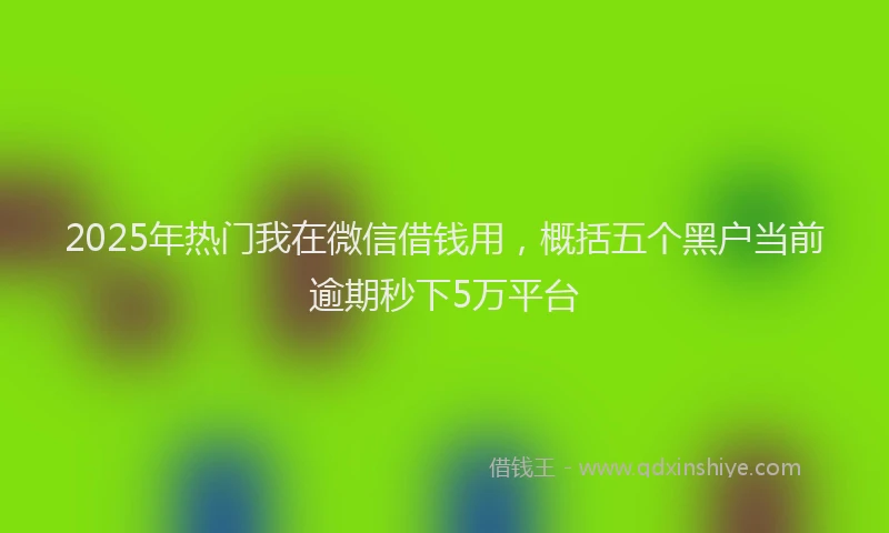 2025年热门我在微信借钱用，概括五个黑户当前逾期秒下5万平台