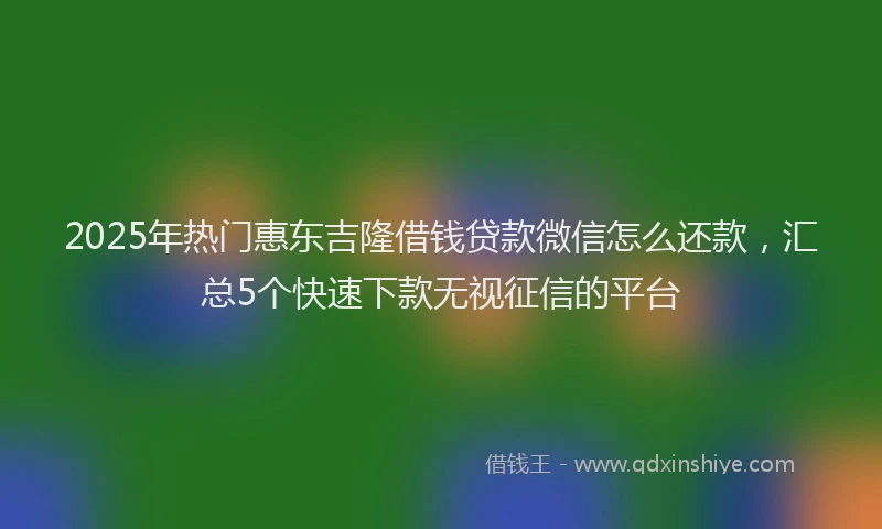 2025年热门惠东吉隆借钱贷款微信怎么还款，汇总5个快速下款无视征信的平台