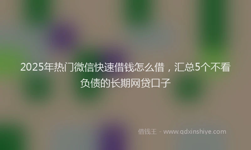 2025年热门微信快速借钱怎么借，汇总5个不看负债的长期网贷口子