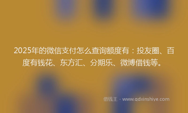 2025年的微信支付怎么查询额度有：投友圈、百度有钱花、东方汇、分期乐、微博借钱等。