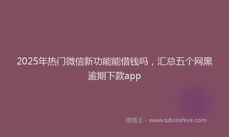2025年热门微信新功能能借钱吗，汇总五个网黑逾期下款app