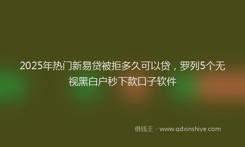 2025年热门新易贷被拒多久可以贷，罗列5个无视黑白户秒下款口子软件
