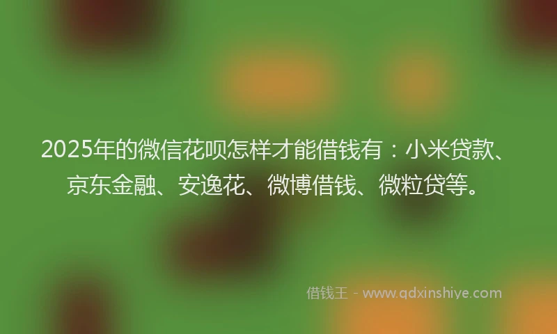 2025年的微信花呗怎样才能借钱有：小米贷款、京东金融、安逸花、微博借钱、微粒贷等。