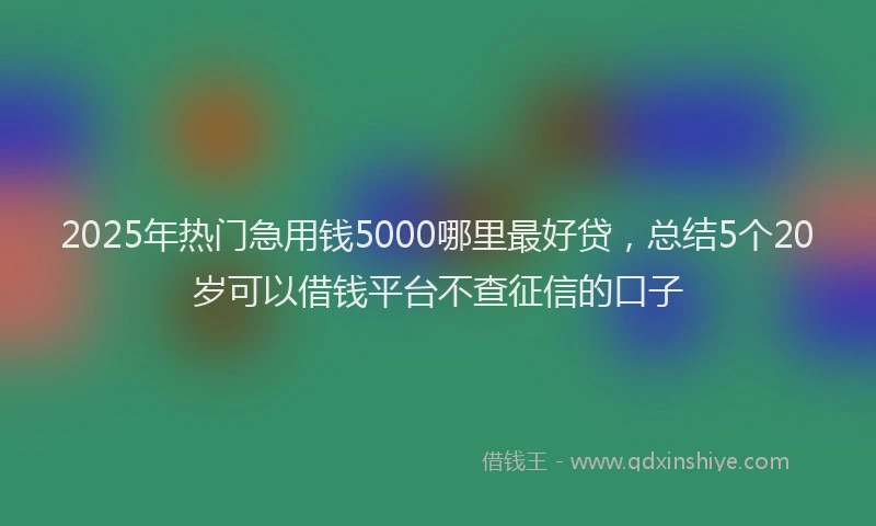 2025年热门急用钱5000哪里最好贷，总结5个20岁可以借钱平台不查征信的口子