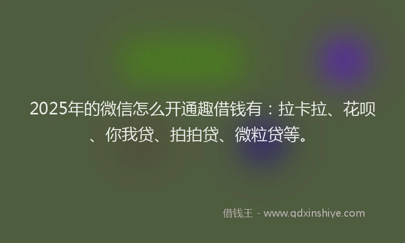 2025年的微信怎么开通趣借钱有：拉卡拉、花呗、你我贷、拍拍贷、微粒贷等。