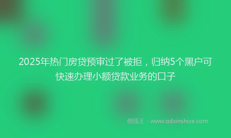 2025年热门房贷预审过了被拒，归纳5个黑户可快速办理小额贷款业务的口子