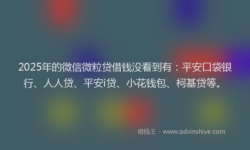 2025年的微信微粒贷借钱没看到有：平安口袋银行、人人贷、平安i贷、小花钱包、柯基贷等。