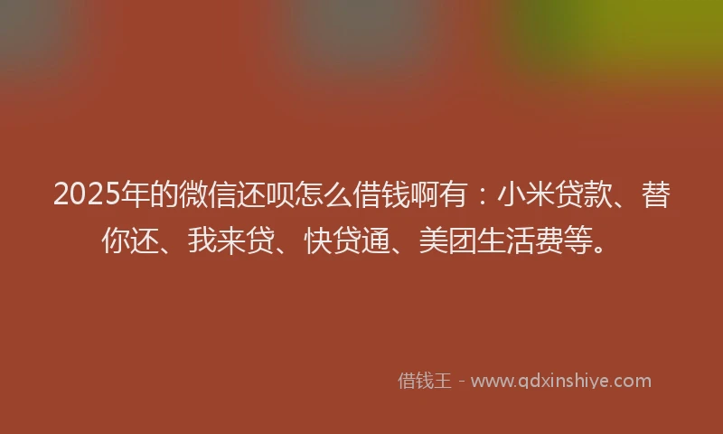 2025年的微信还呗怎么借钱啊有：小米贷款、替你还、我来贷、快贷通、美团生活费等。