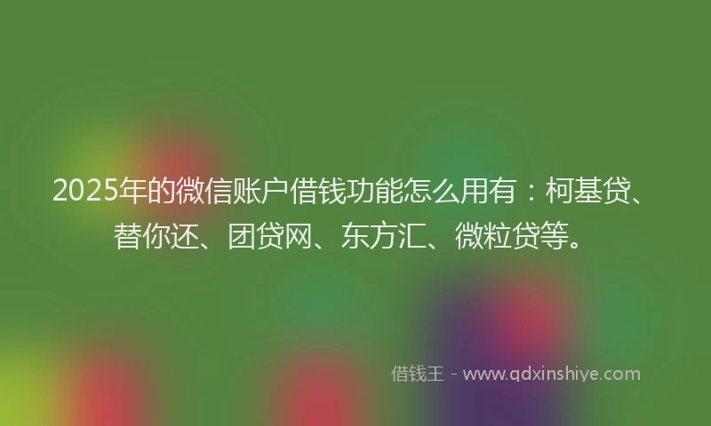 2025年的微信账户借钱功能怎么用有：柯基贷、替你还、团贷网、东方汇、微粒贷等。
