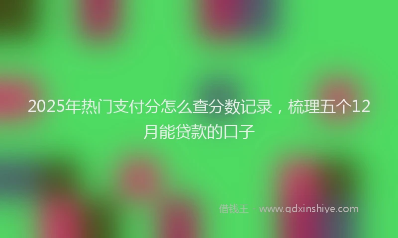 2025年热门支付分怎么查分数记录，梳理五个12月能贷款的口子