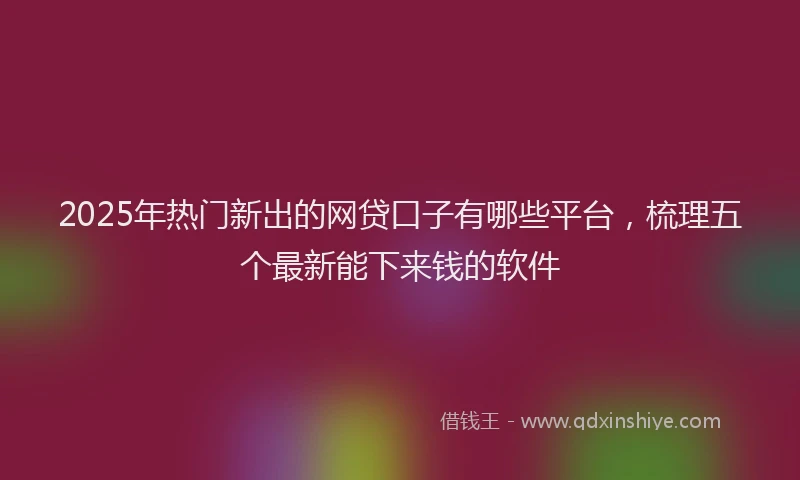 2025年热门新出的网贷口子有哪些平台，梳理五个最新能下来钱的软件