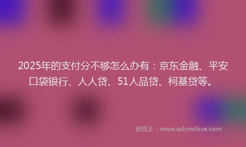 2025年的支付分不够怎么办有：京东金融、平安口袋银行、人人贷、51人品贷、柯基贷等。