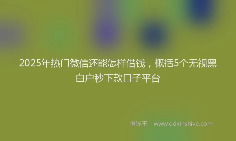 2025年热门微信还能怎样借钱，概括5个无视黑白户秒下款口子平台