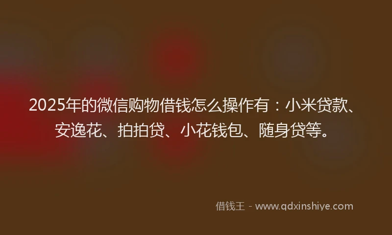 2025年的微信购物借钱怎么操作有：小米贷款、安逸花、拍拍贷、小花钱包、随身贷等。