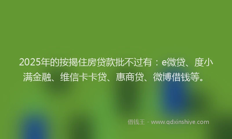 2025年的按揭住房贷款批不过有：e微贷、度小满金融、维信卡卡贷、惠商贷、微博借钱等。