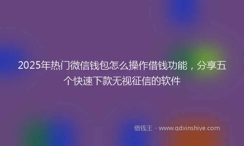 2025年热门微信钱包怎么操作借钱功能，分享五个快速下款无视征信的软件