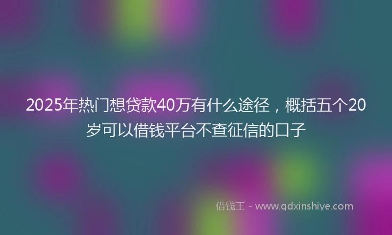 2025年热门想贷款40万有什么途径，概括五个20岁可以借钱平台不查征信的口子