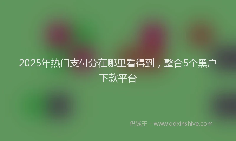 2025年热门支付分在哪里看得到，整合5个黑户下款平台