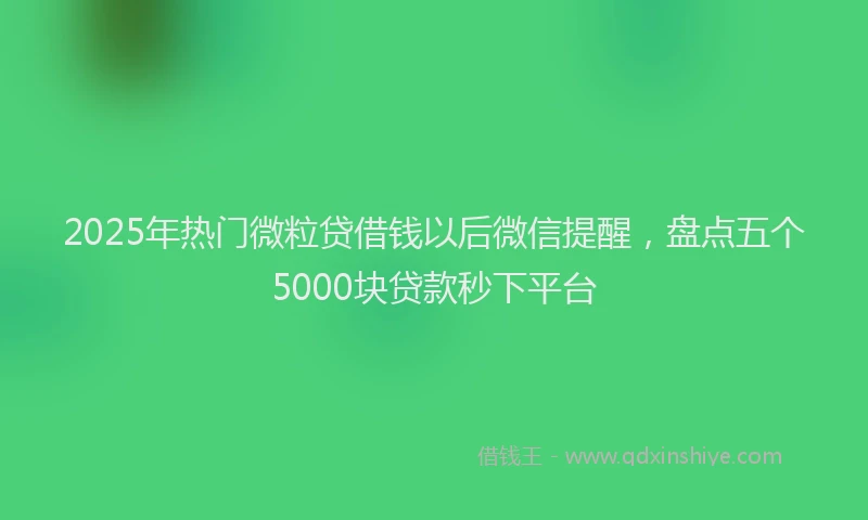 2025年热门微粒贷借钱以后微信提醒，盘点五个5000块贷款秒下平台