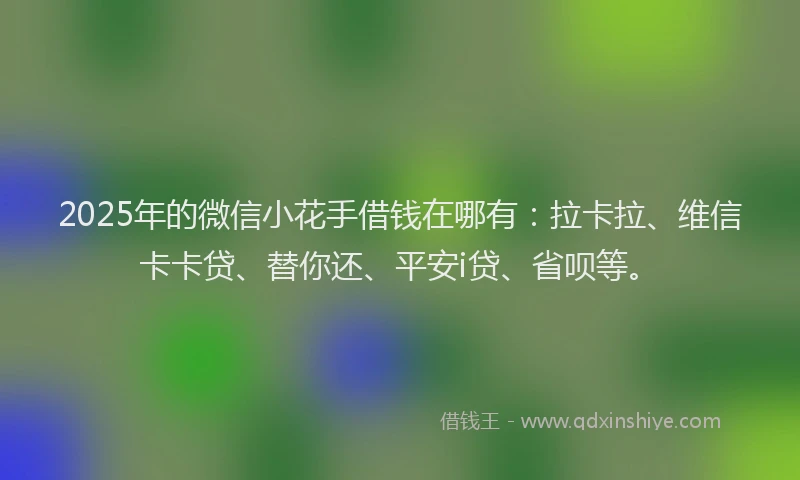 2025年的微信小花手借钱在哪有：拉卡拉、维信卡卡贷、替你还、平安i贷、省呗等。