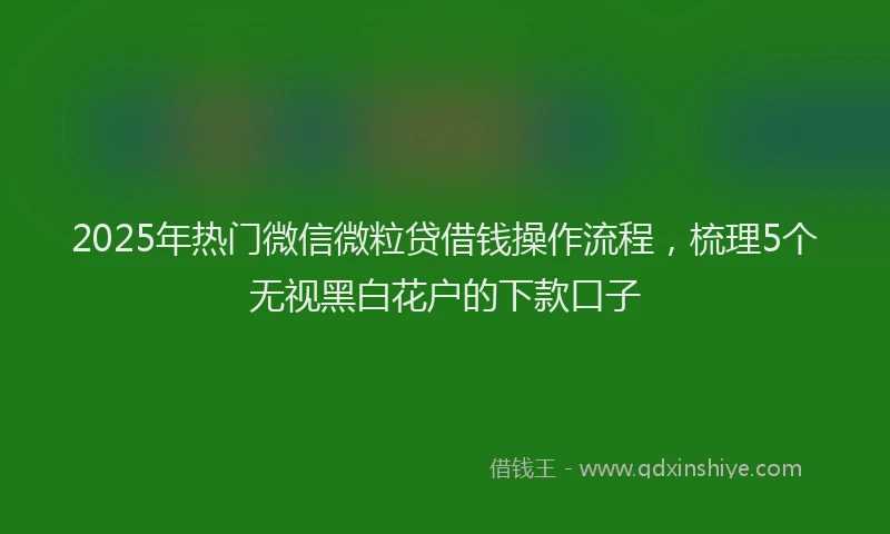 2025年热门微信微粒贷借钱操作流程，梳理5个无视黑白花户的下款口子