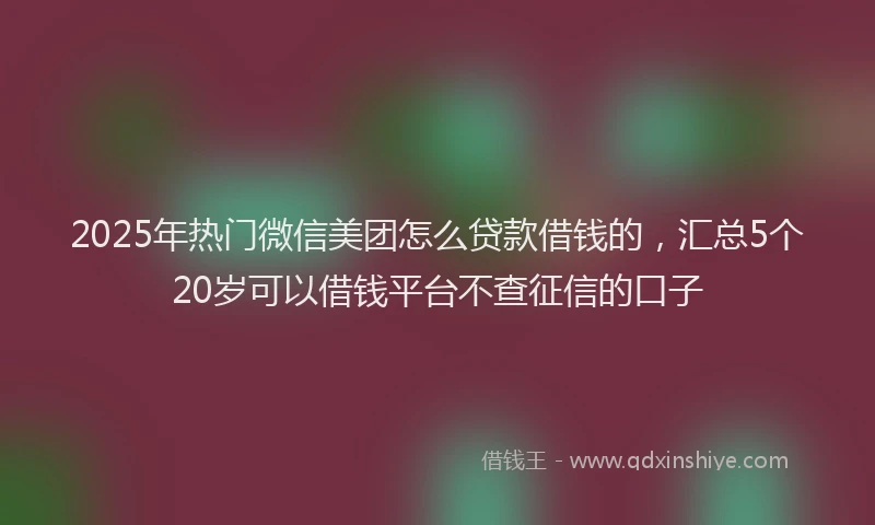 2025年热门微信美团怎么贷款借钱的，汇总5个20岁可以借钱平台不查征信的口子