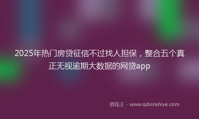 2025年热门房贷征信不过找人担保，整合五个真正无视逾期大数据的网贷app
