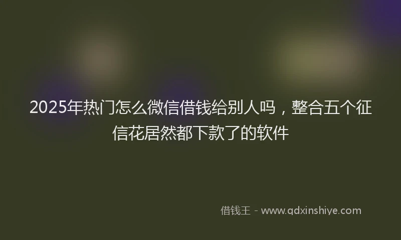 2025年热门怎么微信借钱给别人吗，整合五个征信花居然都下款了的软件