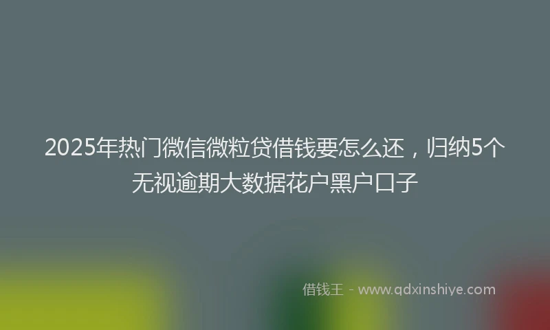 2025年热门微信微粒贷借钱要怎么还，归纳5个无视逾期大数据花户黑户口子